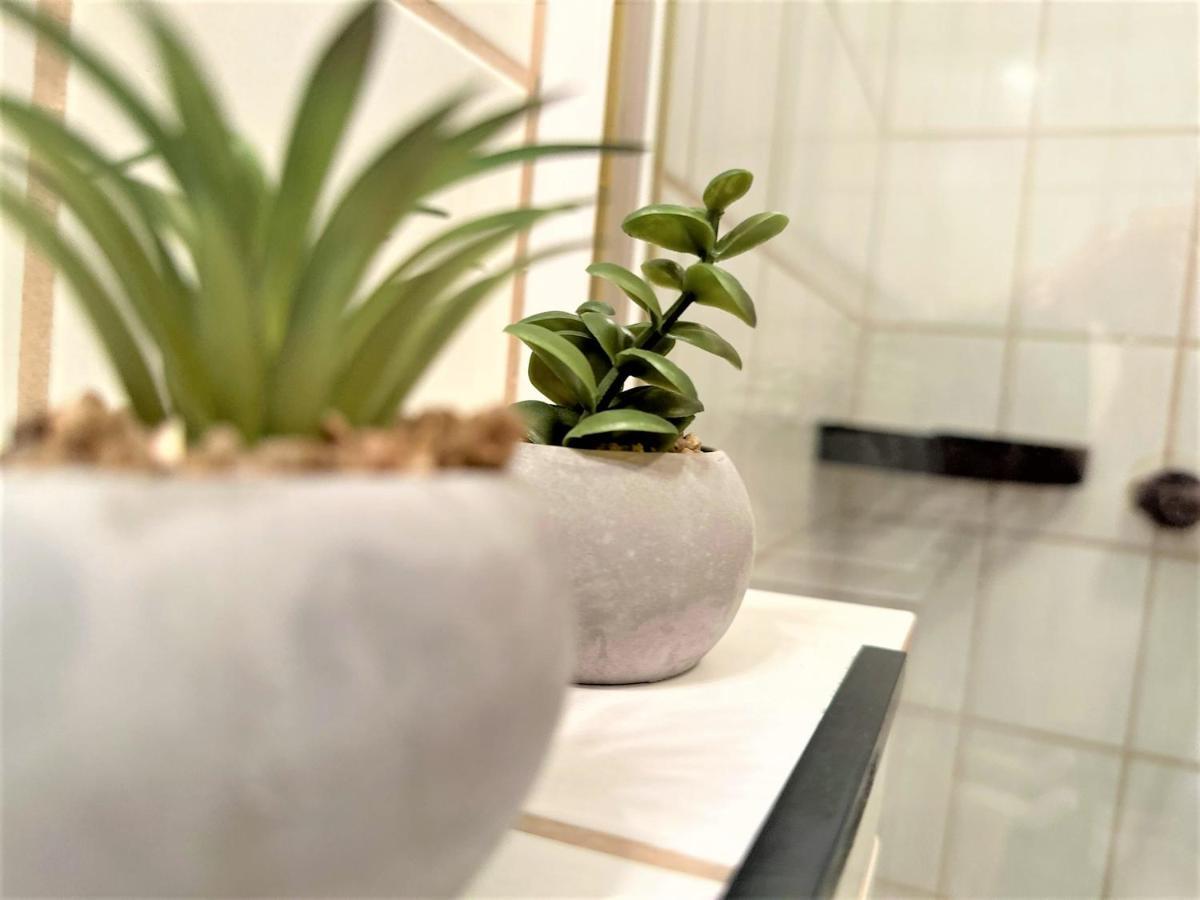 Cozy Apartment Bavarian Forest +Pool +Sauna +Netflix Zwiesel Buitenkant foto